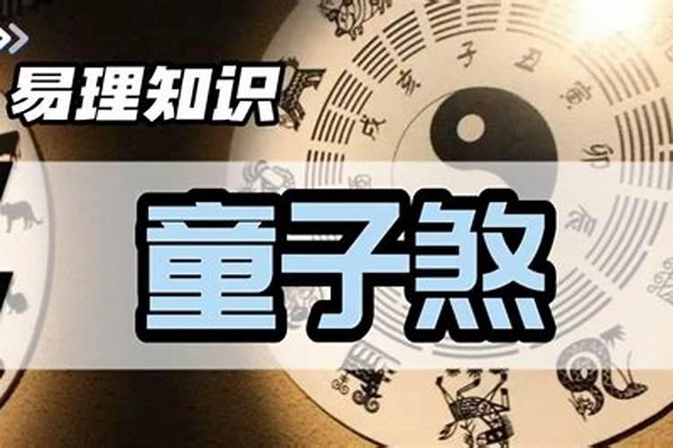 1978年属马人在2025年的运势