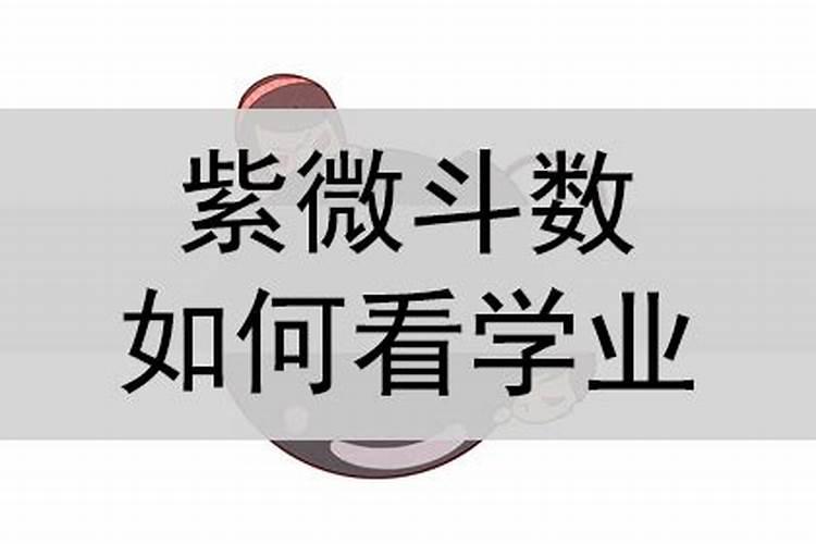属鸡人2025全年运势 属鸡人2025年每月运势