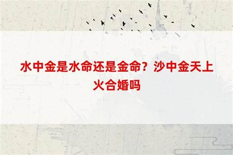 梦见死人了办丧事的预兆