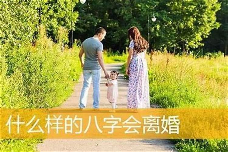 八字看复婚的八字特点,八字会复婚么？