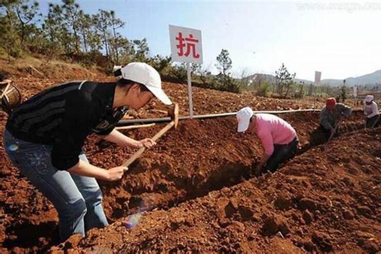 梦见一个不认识的男人睡我床上的预兆