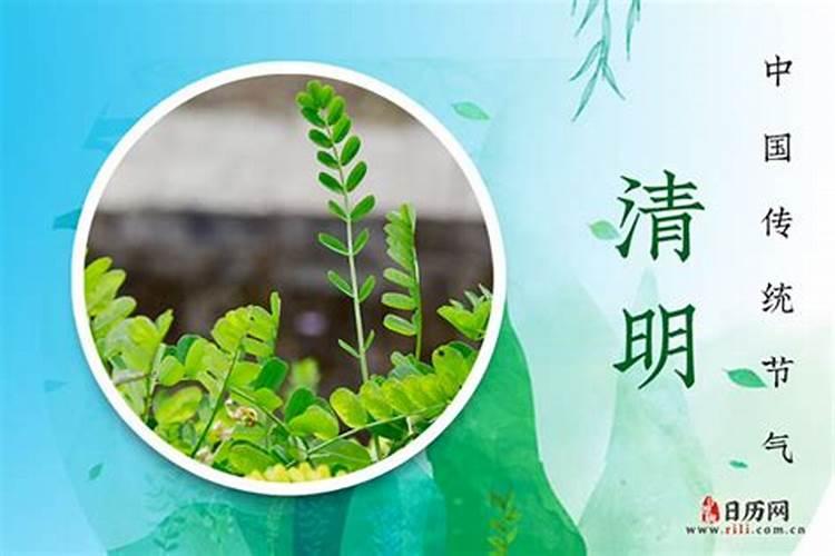 2024年清明节是几月几日是阴历还是阳历