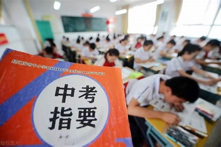 95年属猪女命运好吗,95年生肖猪一生婚姻命运？
