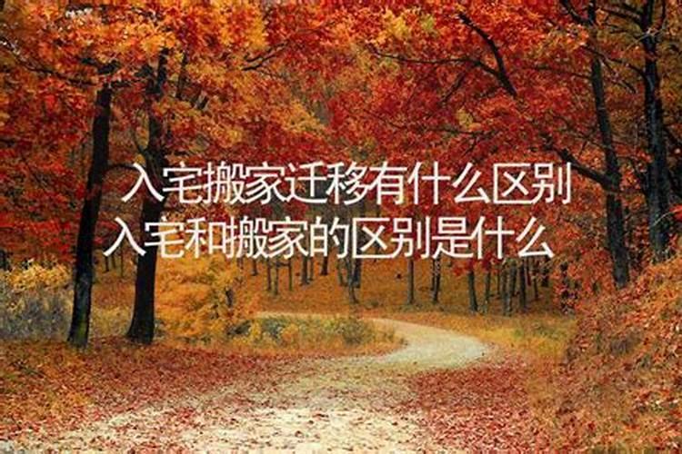 2025属狗人全年12个月运势