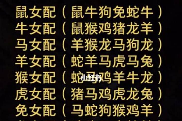 帮我算算命吧,今年怎么那么倒霉