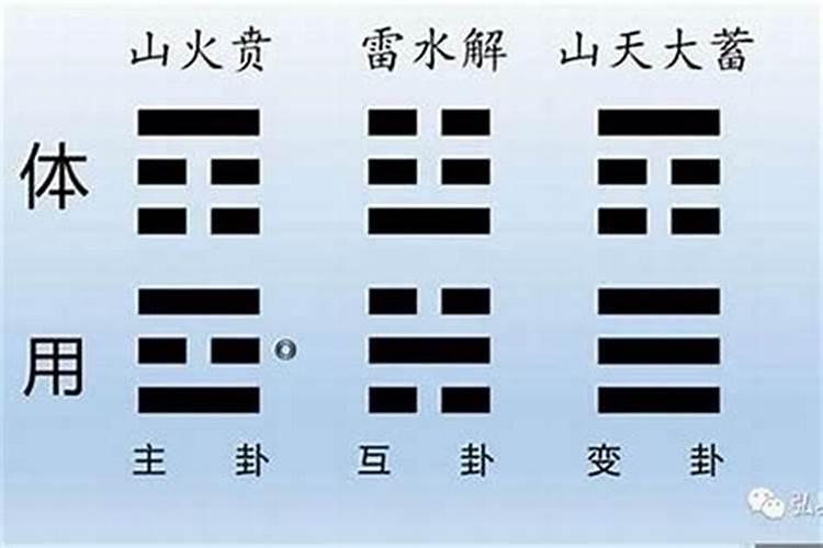 紫微斗数准不准？跟八字哪个更准？专业人士回答,谢谢