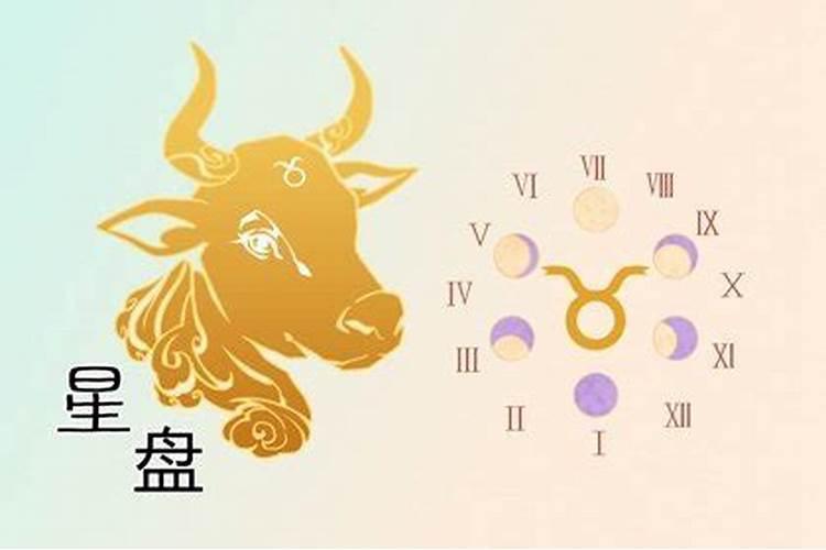月亮处女座女生性格特点