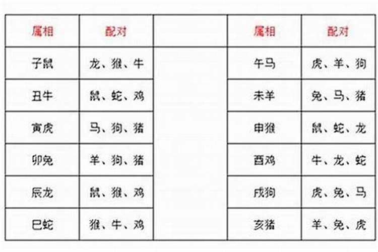 属蛇遇鼠年运势如何