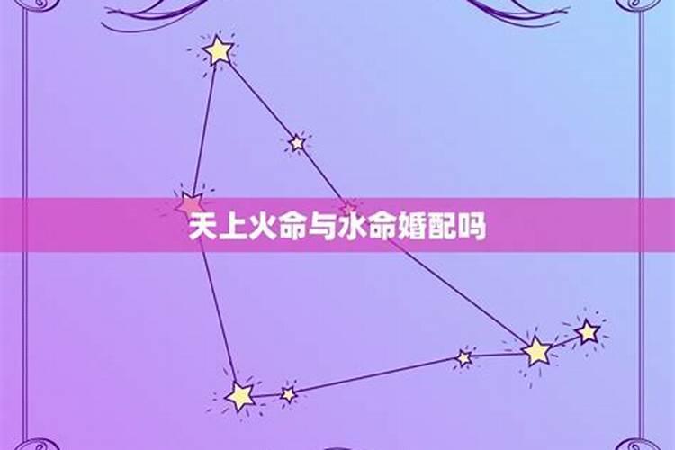 属蛇遇鼠年运势如何