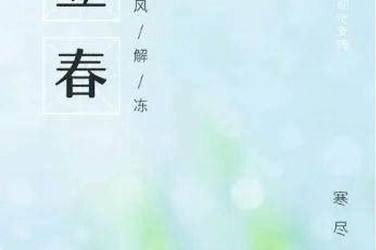 1991年属什么