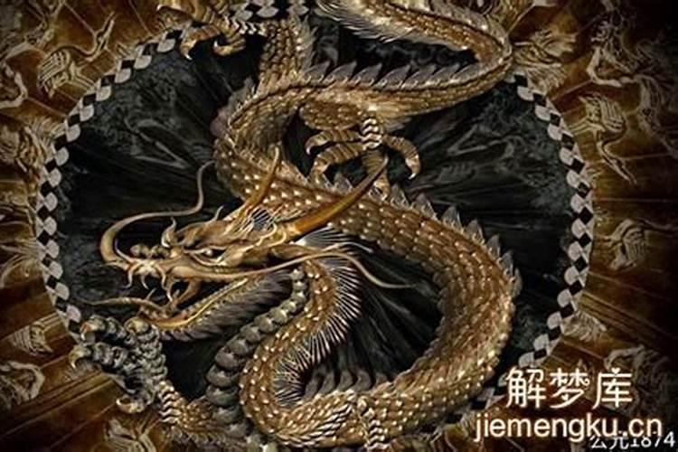 梦见黑龙在天上飞是什么预兆