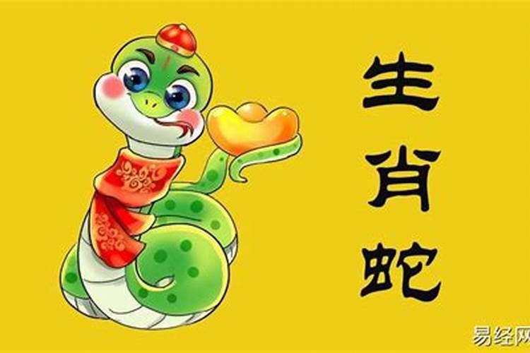 2025年5月17日12生肖运势