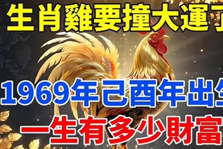 1969年属鸡男女2024年运程