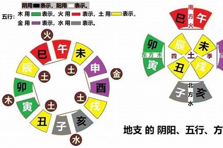 梦见龙在水里然后飞上天的预兆