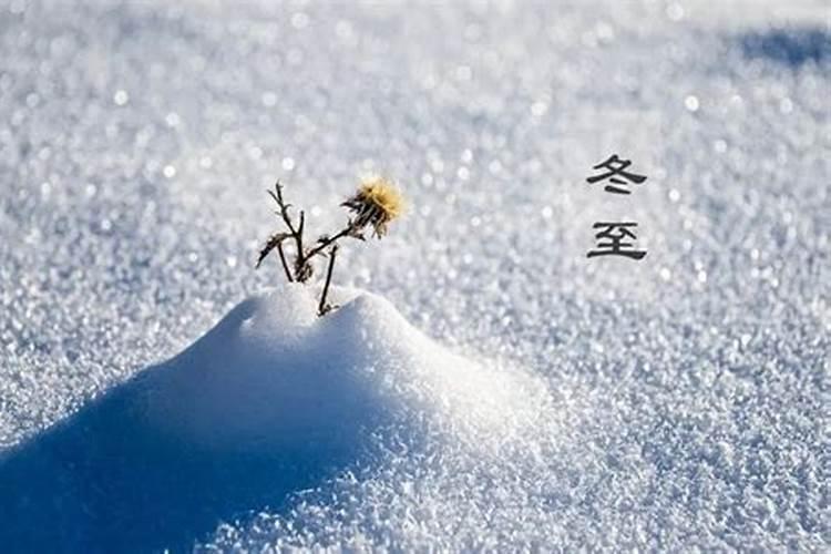 江苏冬至吃什么风俗食物
