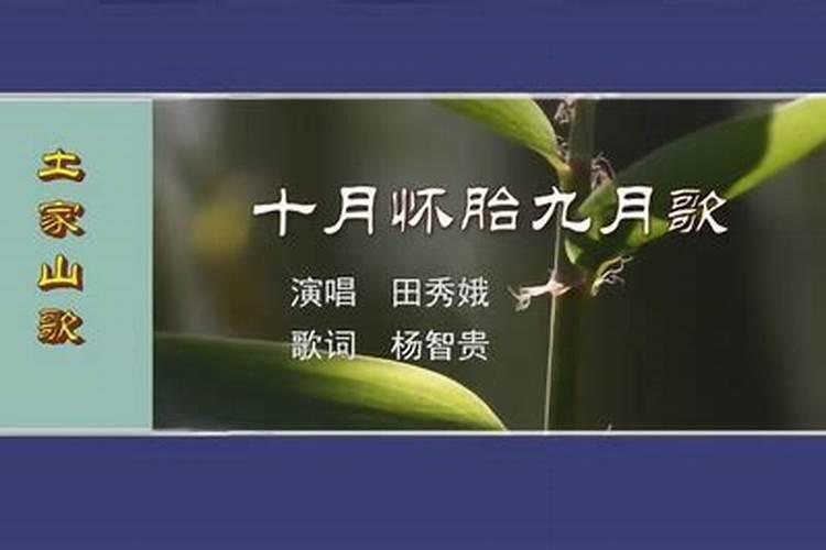 通城道士唱词 十月怀胎