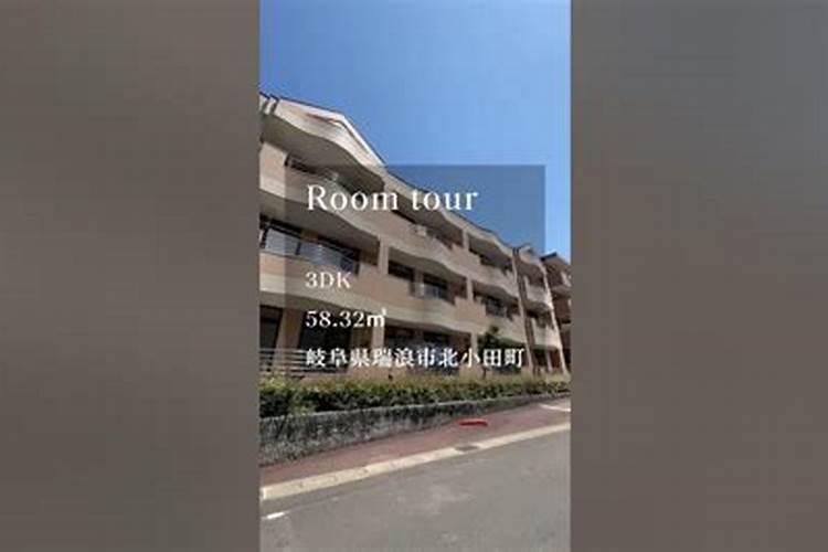 2025属兔人每月运势及运程如何 属兔人2025年运势