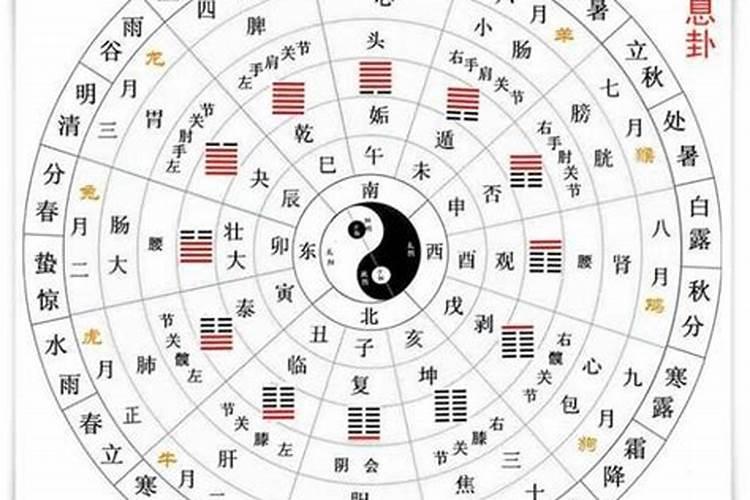 2000年属龙男在2025年每月运势