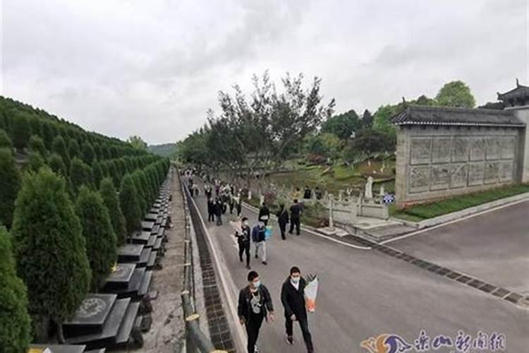 清明节可以祝节日快乐吗