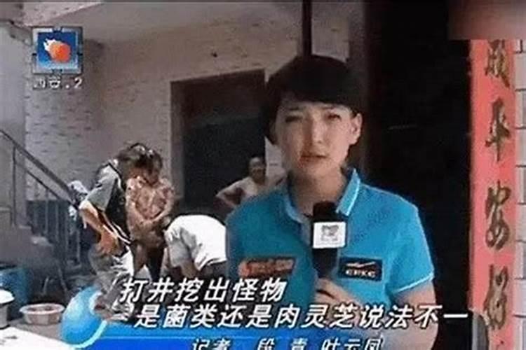 女记者太岁是什么梗