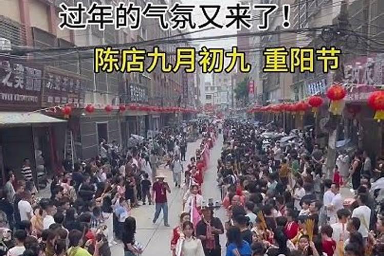 属马人哪一年犯太岁最严重,各方面运势如何