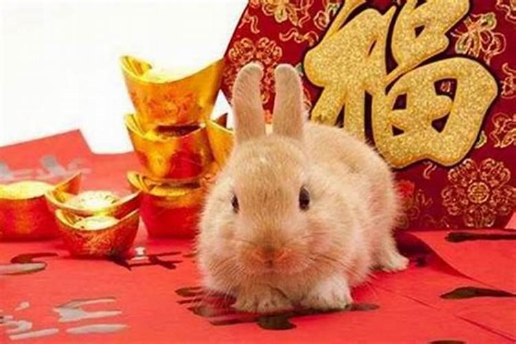 属马人7月运势,属马的人什么时候运势好