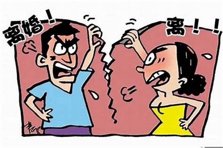 属兔2025年的运势