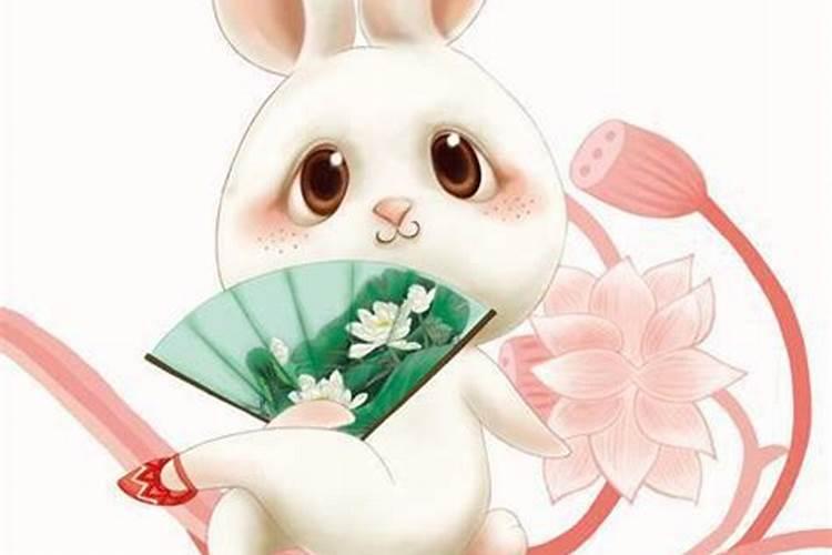 属兔男与属马女婚姻和谐么？