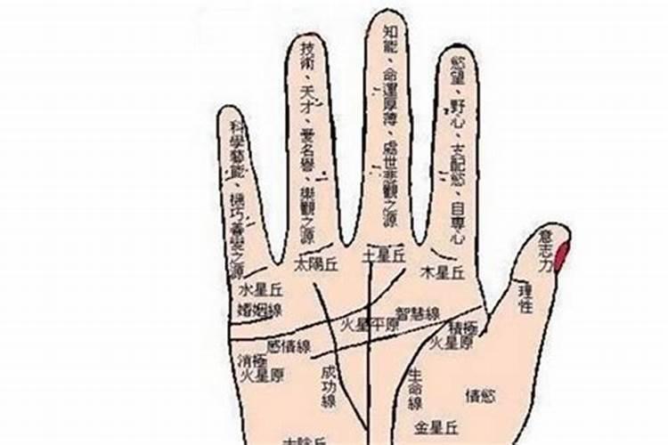 苦命人手相 女人3大苦命手相有什么特征？