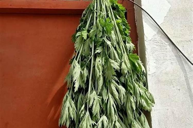 小人的特点与表现