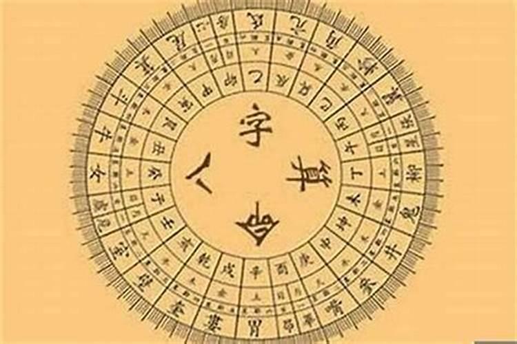 2025年鼠人的全年运势如何