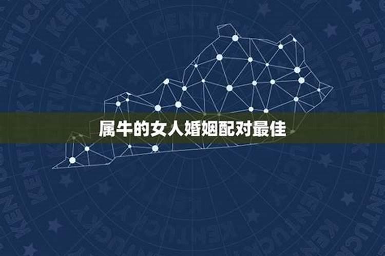 属牛女的最佳配偶生肖是谁属牛女生的属相婚配表