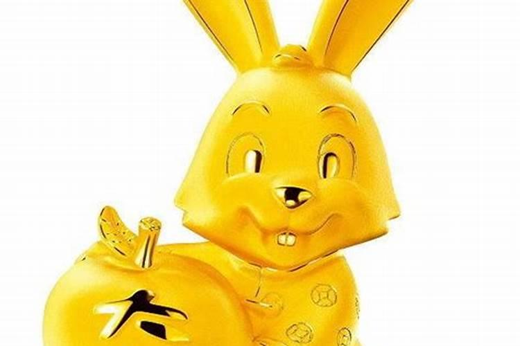属兔2025年运势详解