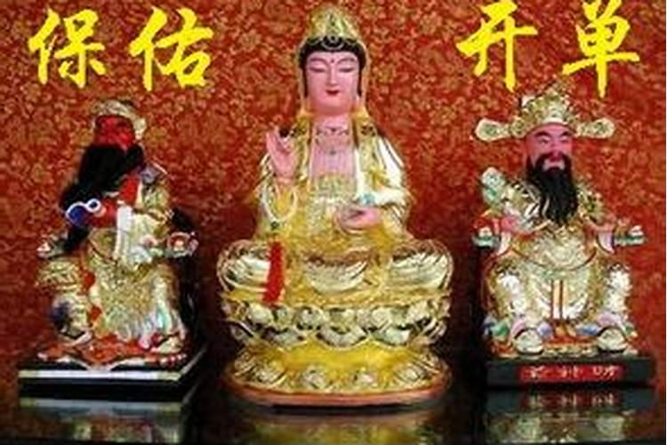 财神和元宝鹦鹉哪个好养