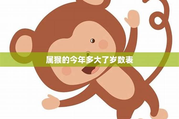 生肖猴1956年出生2025几岁了