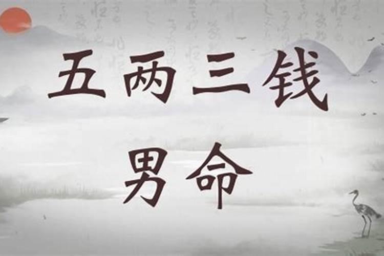 五两三钱男命详细解释一生