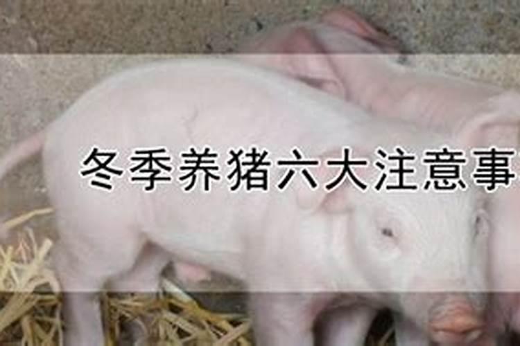 冬至是冬天的第一天还是最后一天 冬至来源
