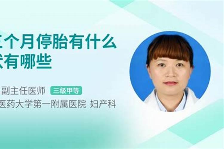 人和动物的故事。要求要感人的