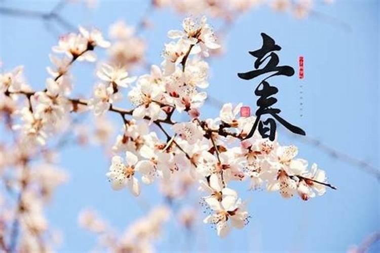 生肖鼠1984年2025年运势如何 生肖鼠1984年2025年全年运势