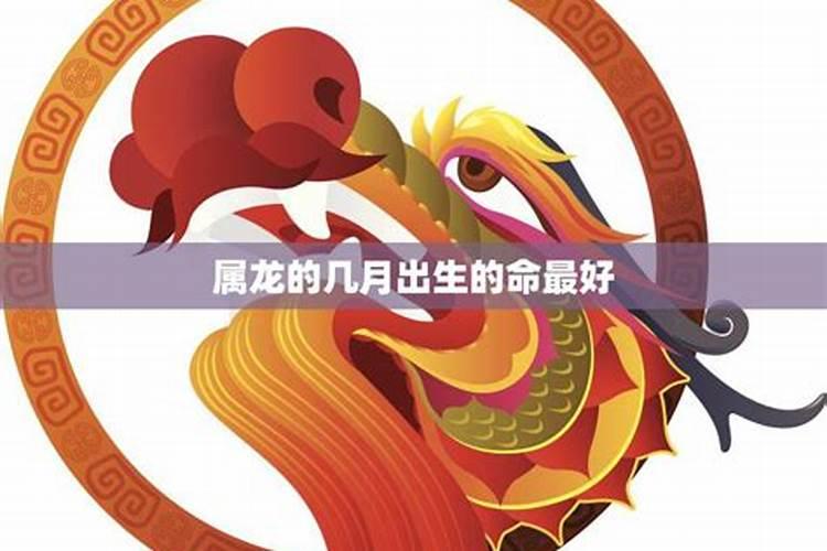属龙的几月出生最好命