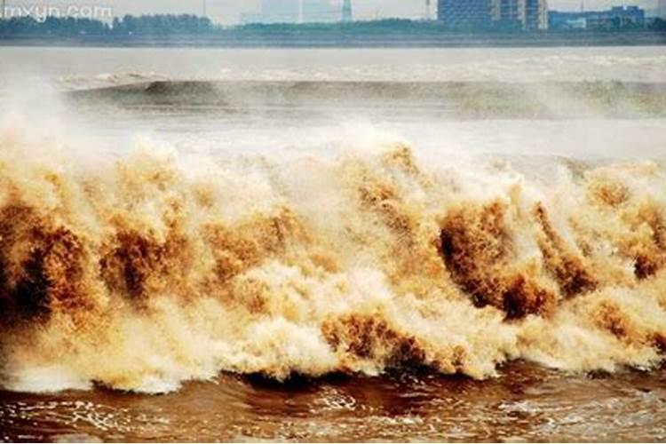 梦见大水向自己冲来什么兆头