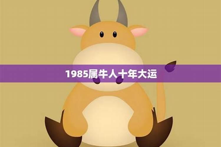 梦见几只老虎追自己的预兆