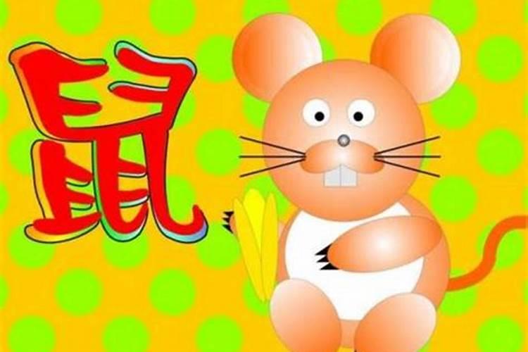 江西省吉安市遂川县车牌号开头字母是什么？