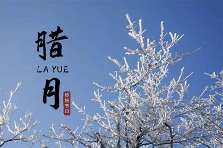 属鼠2024年虚岁多大不同年龄生肖鼠2024甲辰龙年运程分析