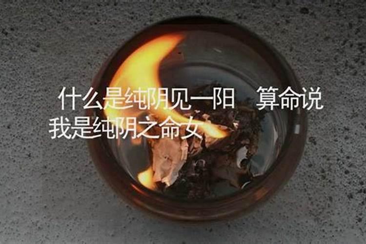 纯和之命是指的什么意思 纯和之命是什么意思
