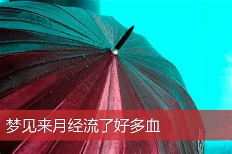 梦见自己狗狗流血的预兆
