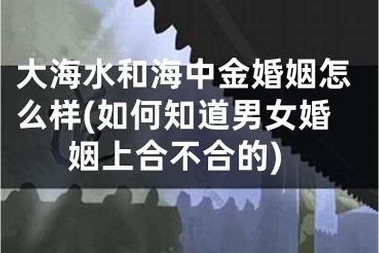 请问1976年沙中土命和1984年海中金命结婚好不好啊