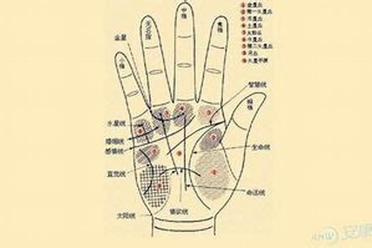 生肖猪1971年2025年运势如何 生肖猪1971年2025年全年运势