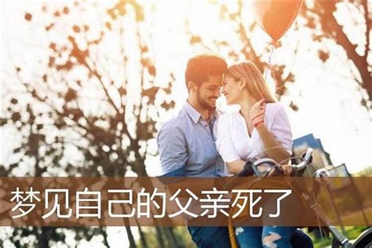 95年属猪的和什么属相最配？