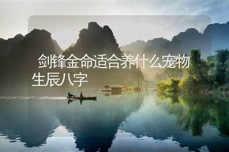 请问风水大师 我的生辰八字适合养鱼吗？